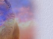 Adrians Kart&auml;user-Page - eine Seite f&uuml;r Katzenfreunde