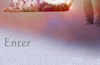 Adrians Kart&auml;user-Page - eine Seite f&uuml;r Katzenfreunde